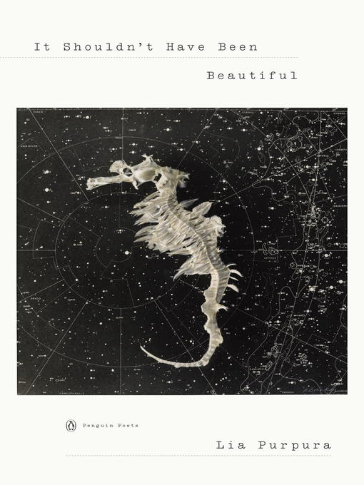 Imagen de portada para It Shouldn't Have Been Beautiful